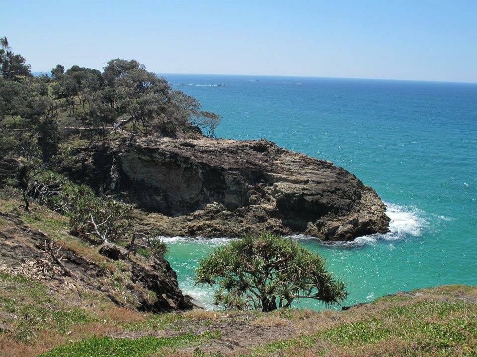 miro_stradbroke island_australia_2